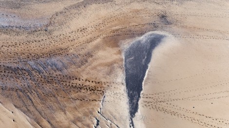 CANDIDE_CAMERA_DINARD_SAINT-MALO_ASC_5163