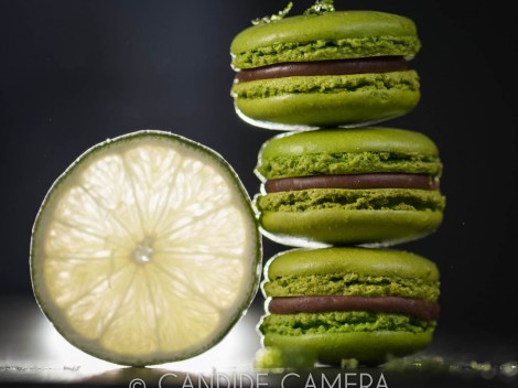 Galerie et Studio photo CANDIDE CAMERA à Dinard St-Malo-_BSC0137