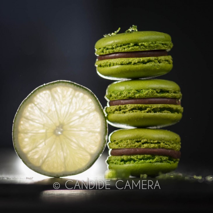 Galerie et Studio photo CANDIDE CAMERA à Dinard St-Malo-_BSC0137