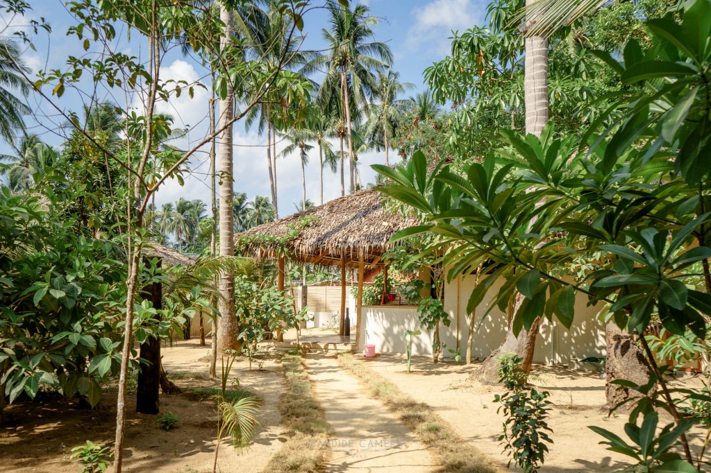 GALERIE_CANDIDE_CAMERA_PHOTOGRAPHE_DINARD_022_DSC04440