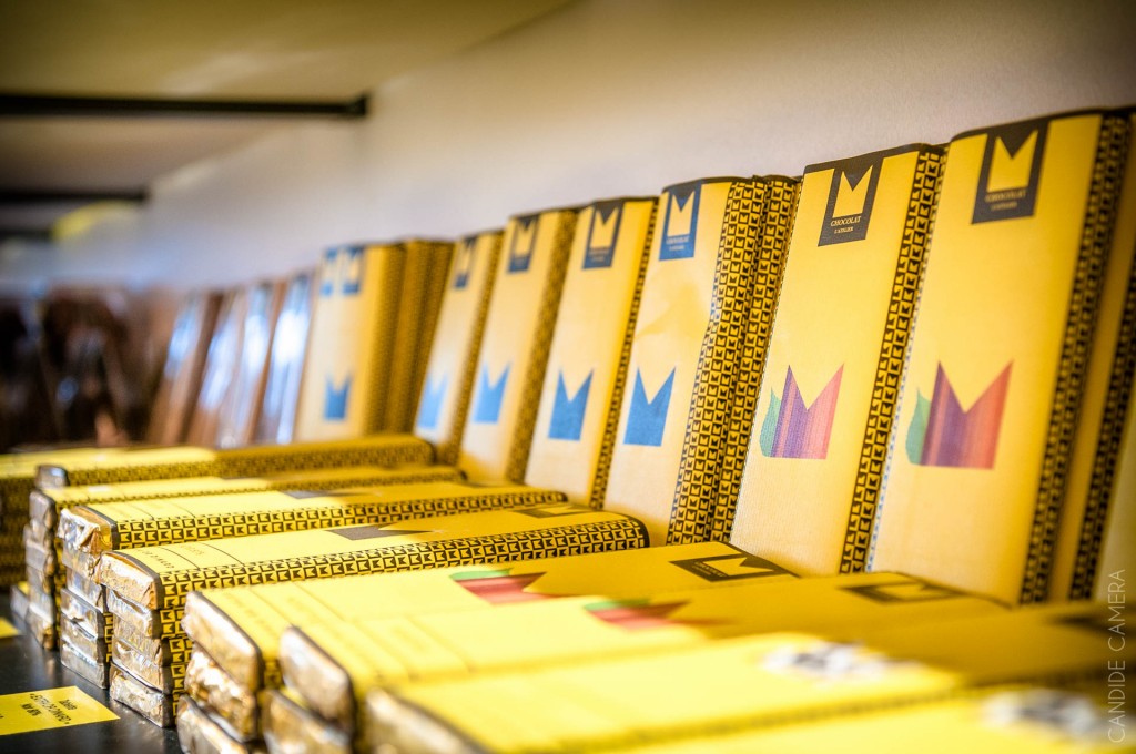 GALERIE_CANDIDE_CAMERA_PHOTOGRAPHE_DINARD_004__ASC8571