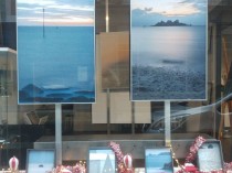 130773387_3589029531177717_2965702009301734587_o